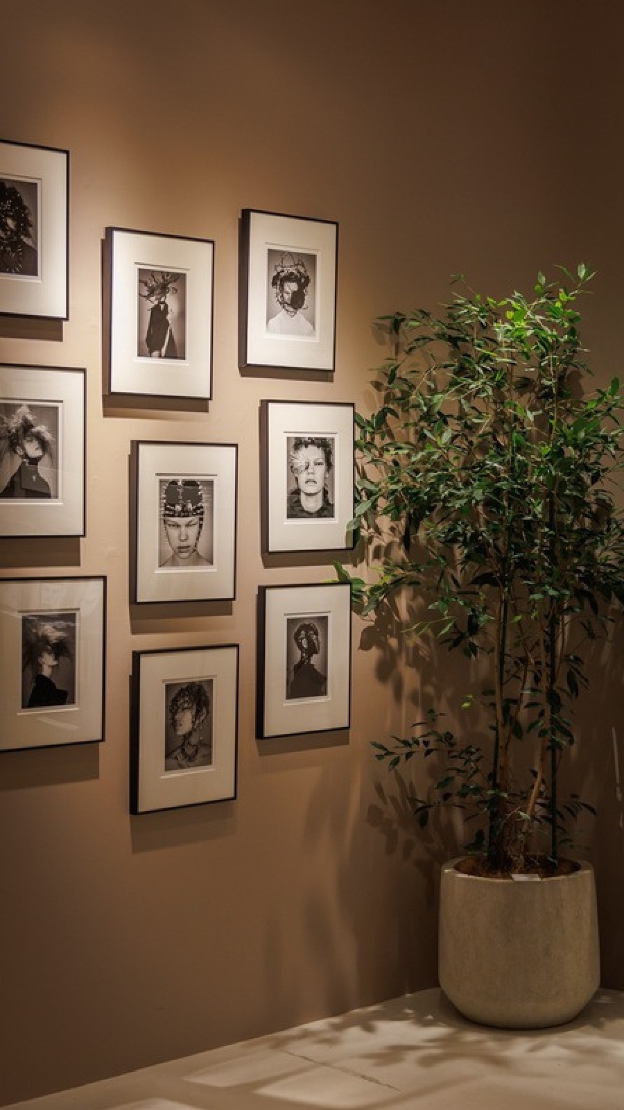 写真作品と植物、灯りを合わせた一角