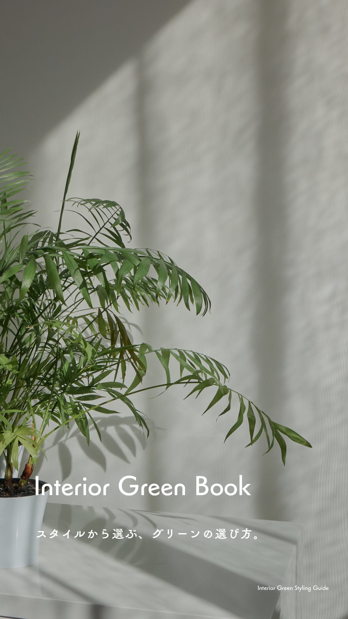 Green Bookの表紙