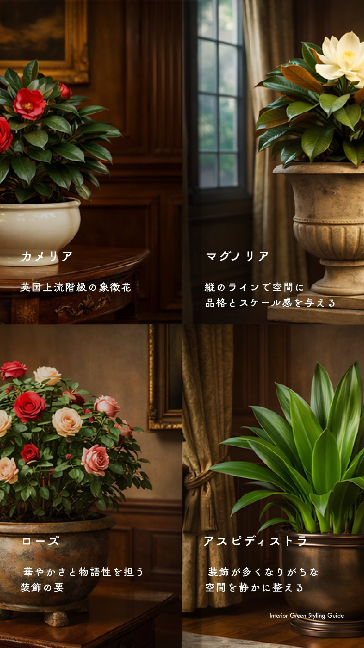 Green Book 12ページ