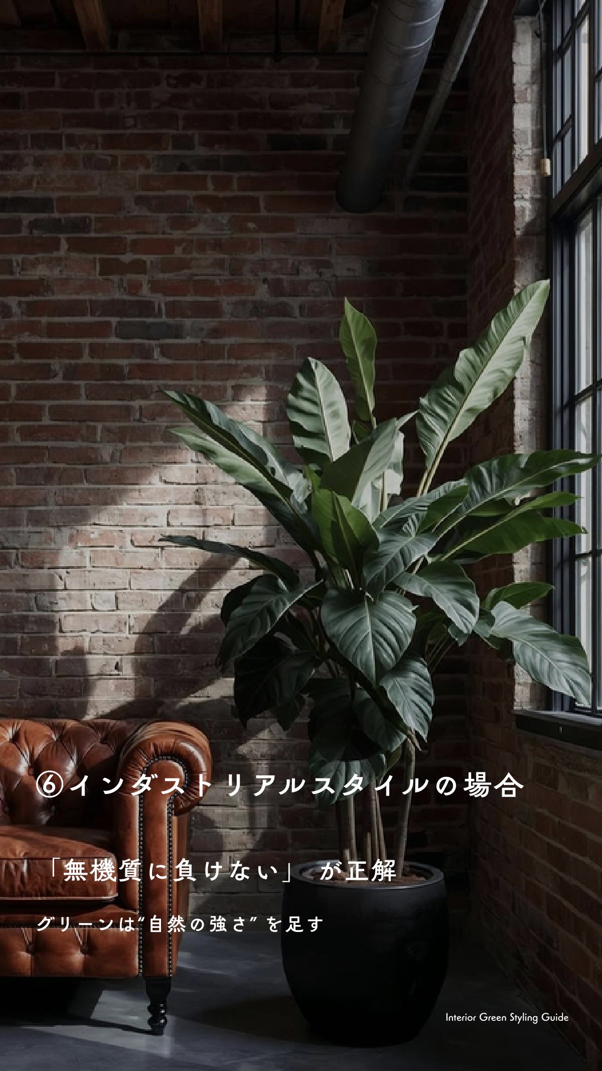 Green Book 13ページ