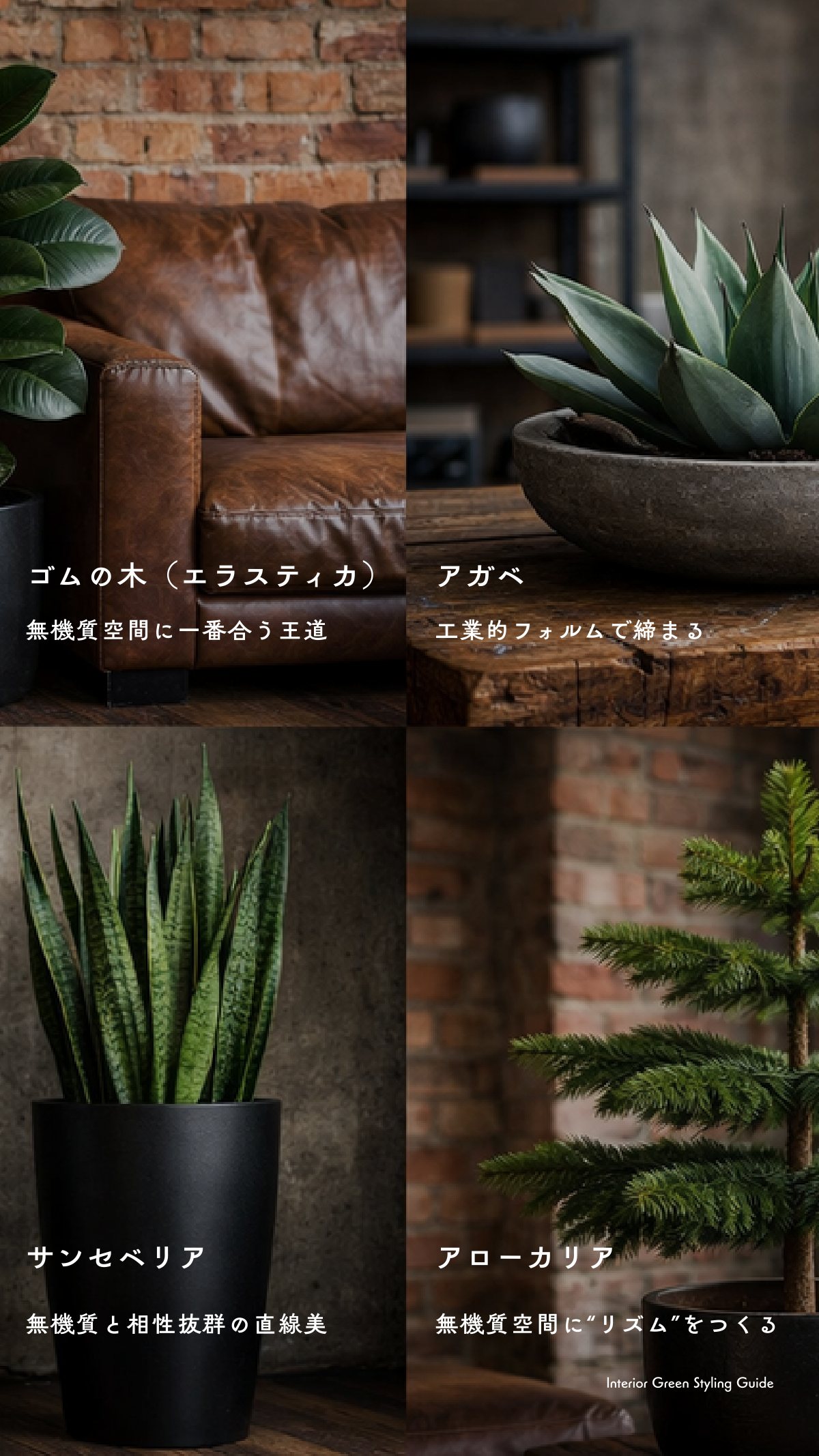 Green Book 14ページ