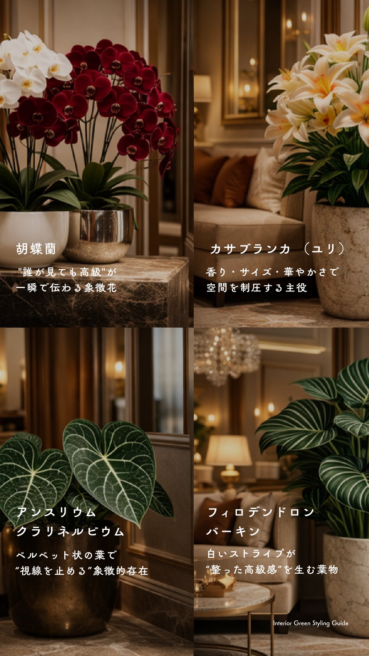 Green Book 16ページ