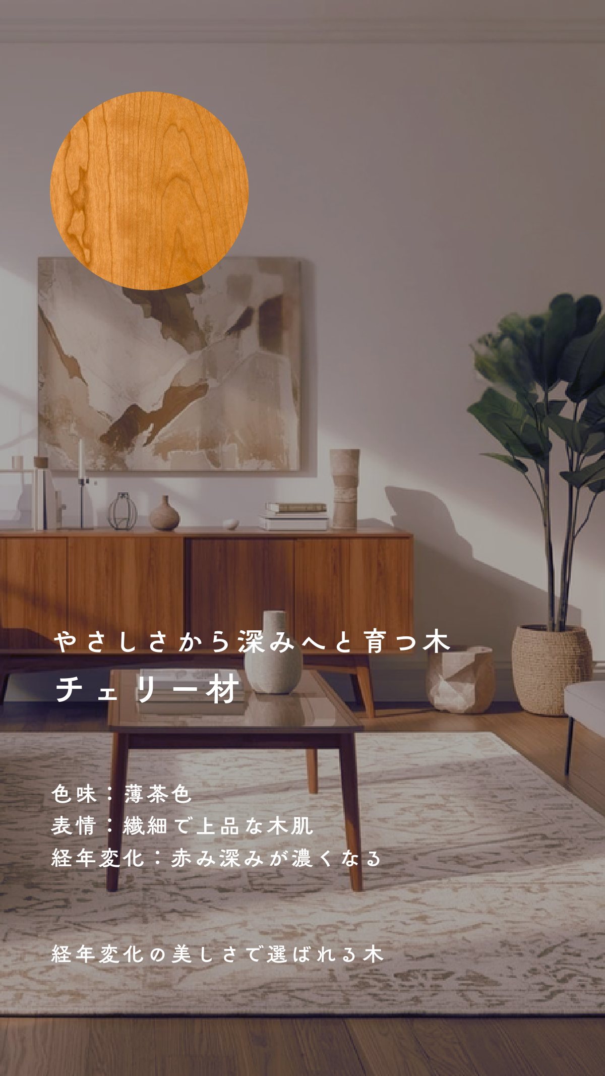 Material Book 11ページ