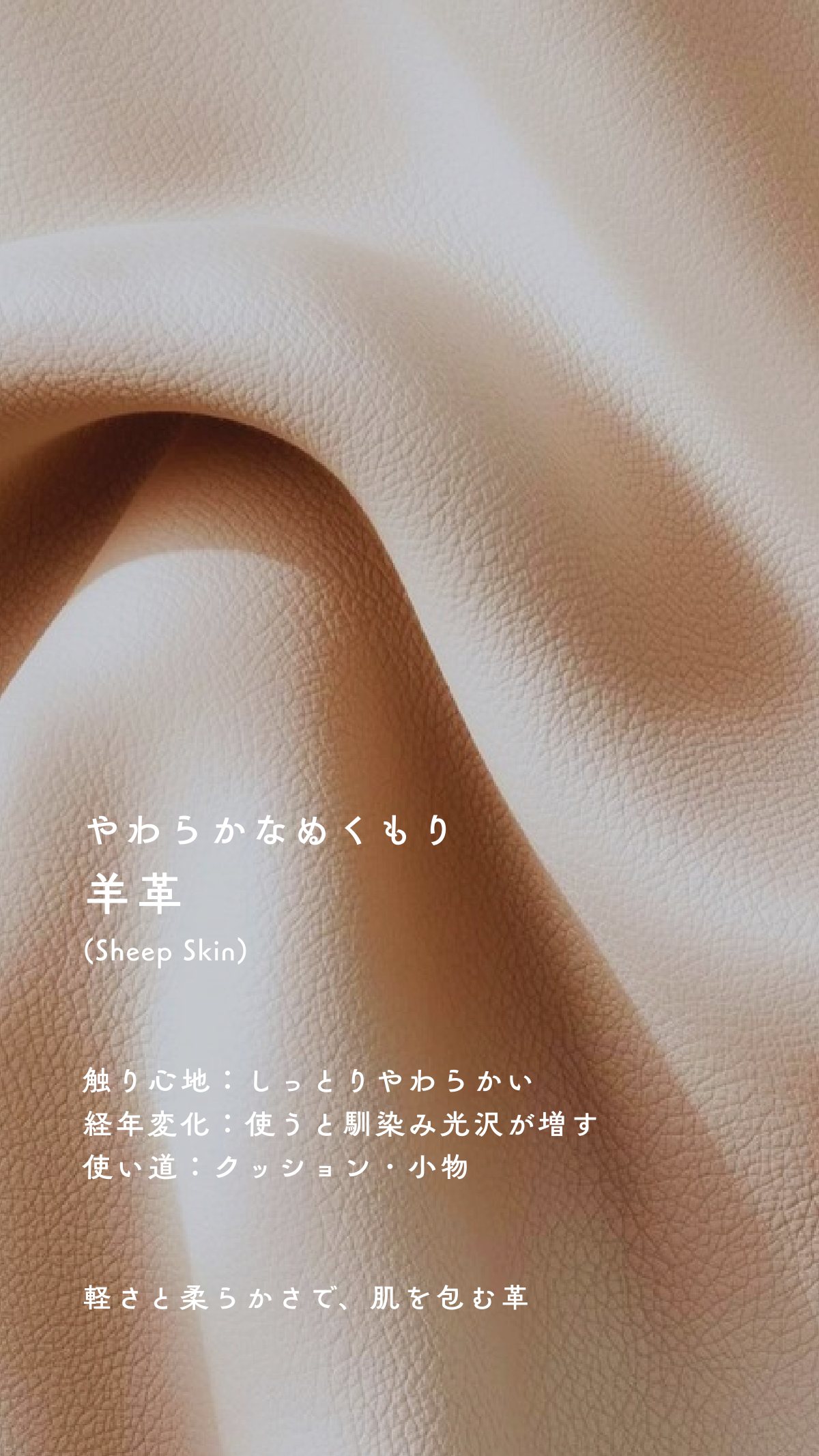 Material Book 55ページ
