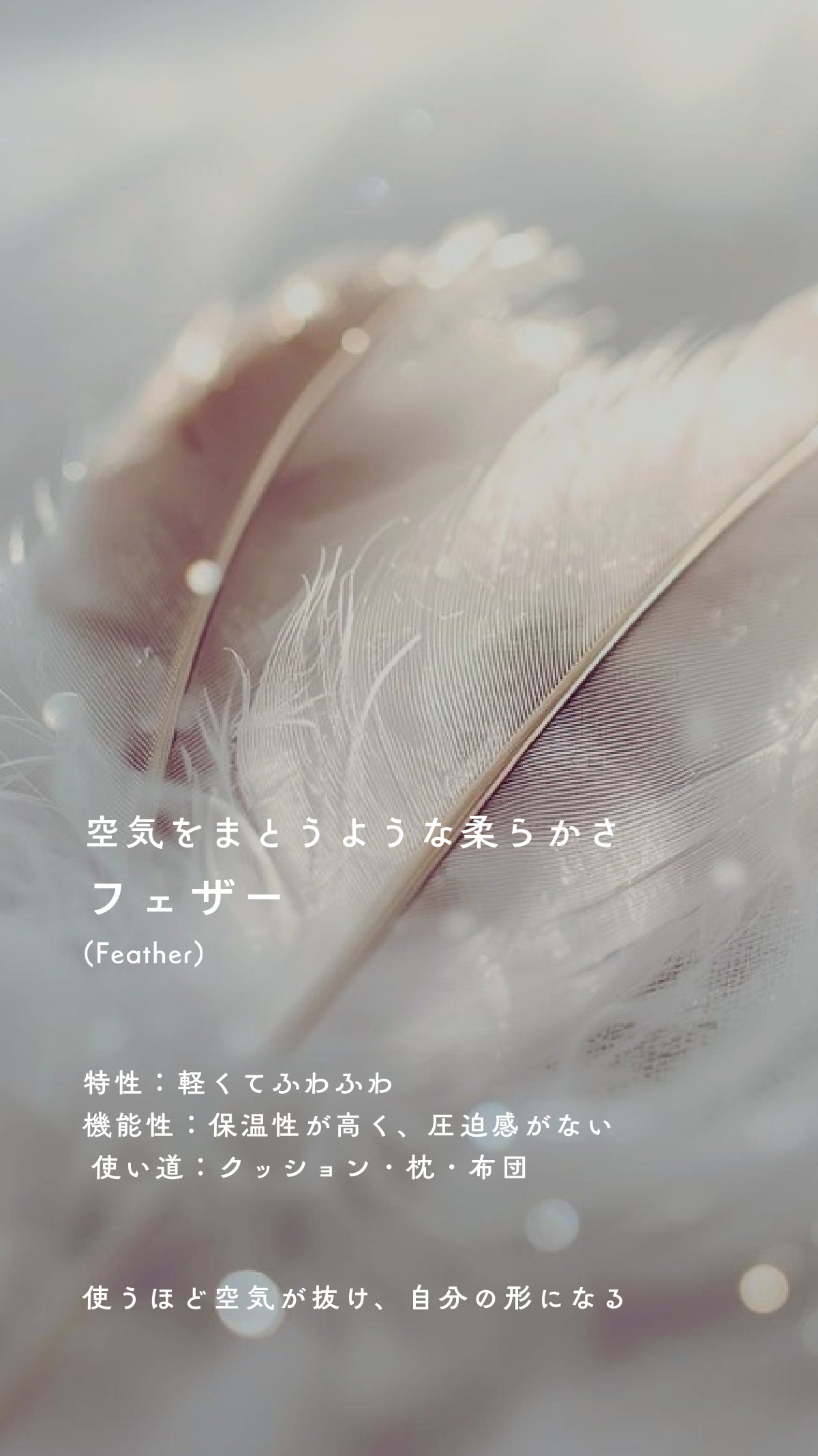 Material Book 63ページ