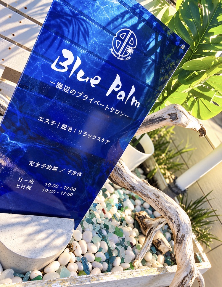 Blue Palm / サインと植物