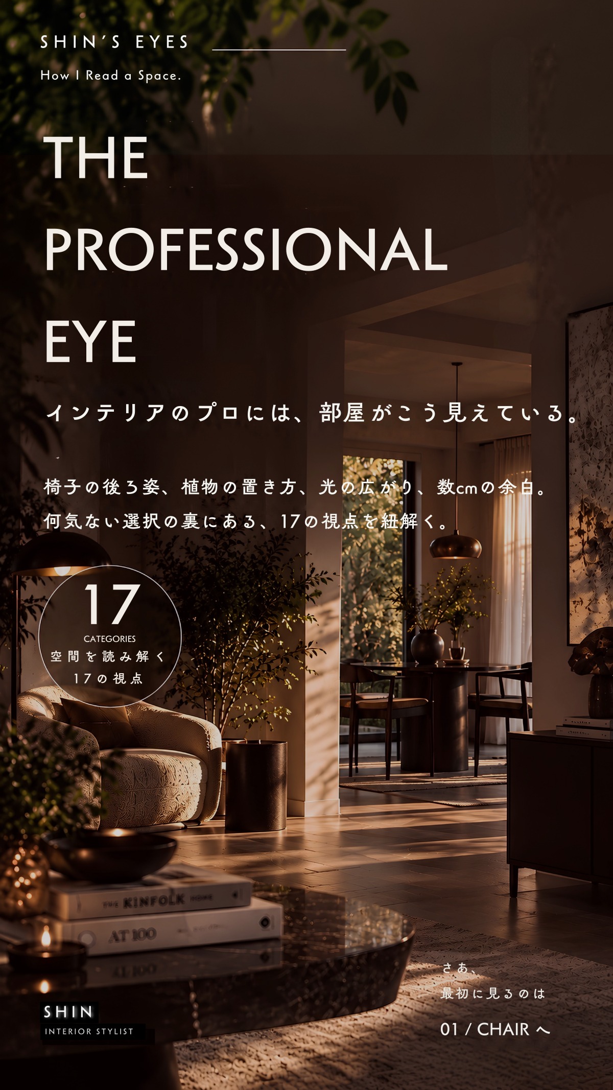 THE PROFESSIONAL EYE / 空間を読み解く17の視点の表紙